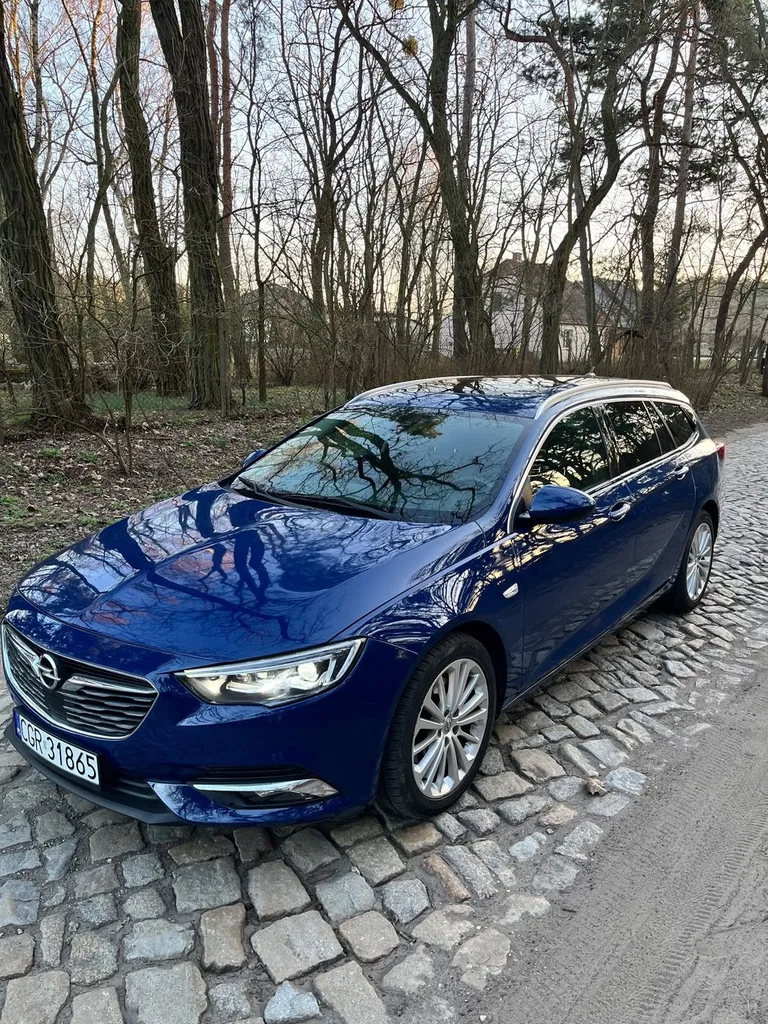 Zdjęcie: 2019 Opel Insignia
