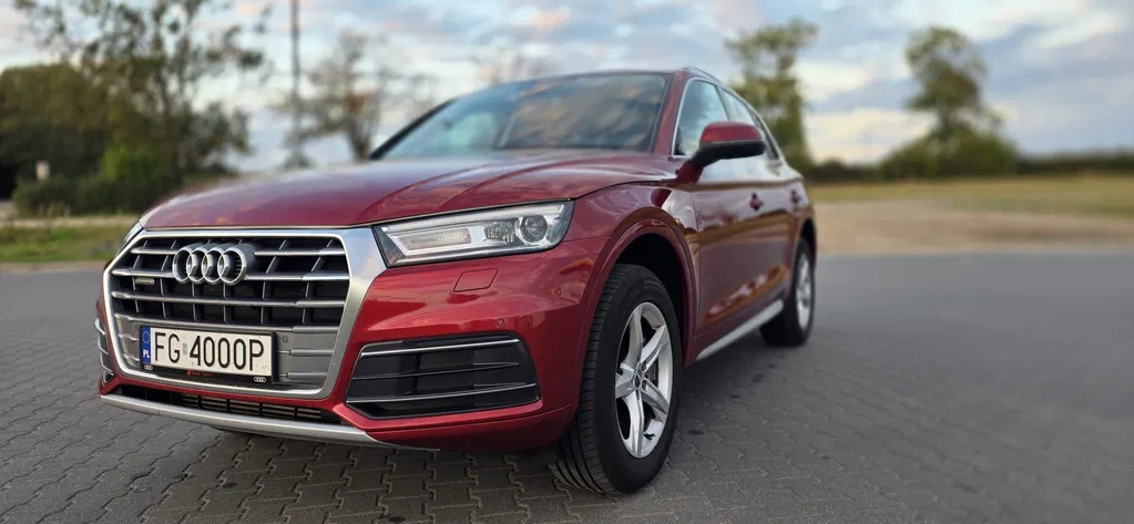Zdjęcie: 2019 Audi Q5