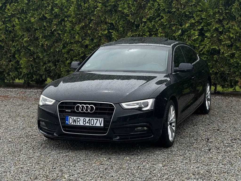 Zdjęcie: 2013 Audi A5 Sportback