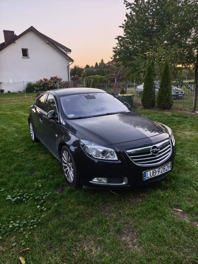 Zdjęcie: 2009 Opel Insignia