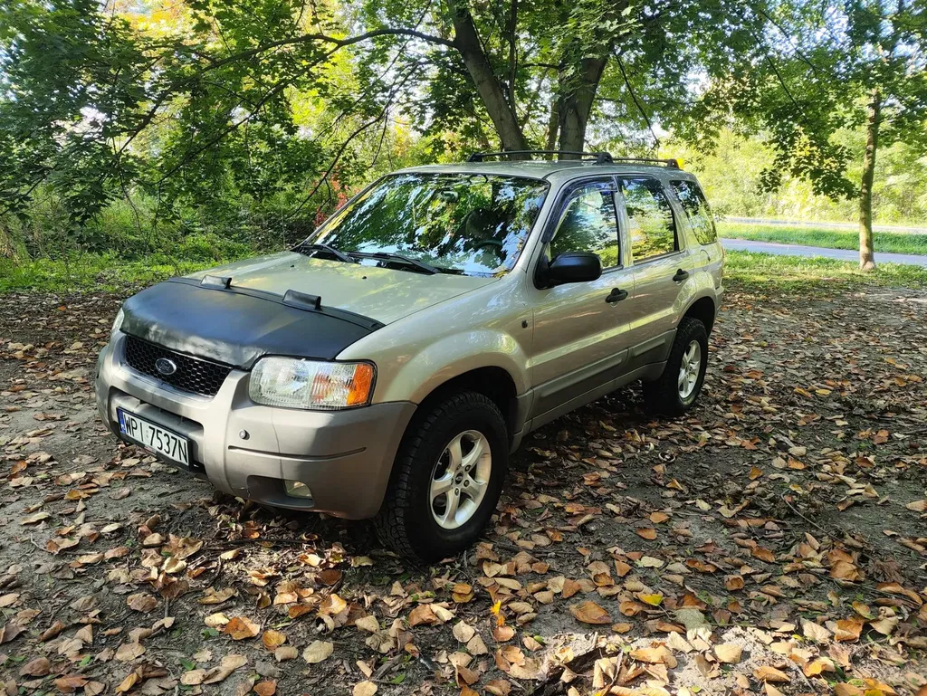 Zdjęcie: 2000 Ford Escape