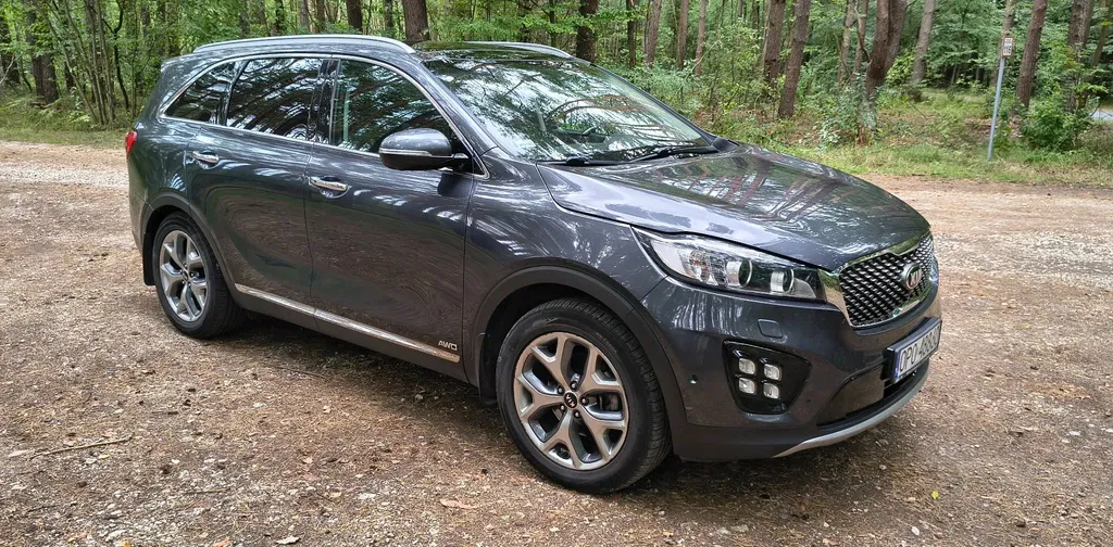 Zdjęcie: 2017 Kia Sorento