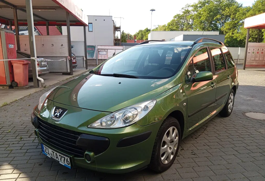 Zdjęcie: 2006 Peugeot 307