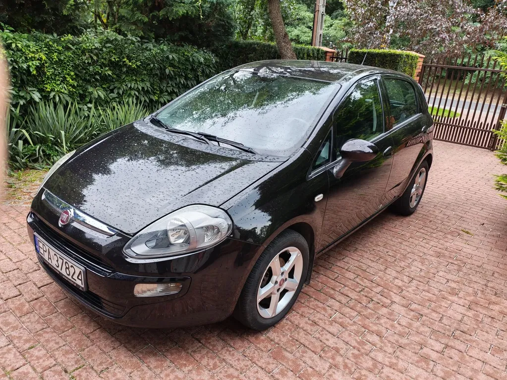 Zdjęcie: 2011 Fiat Punto