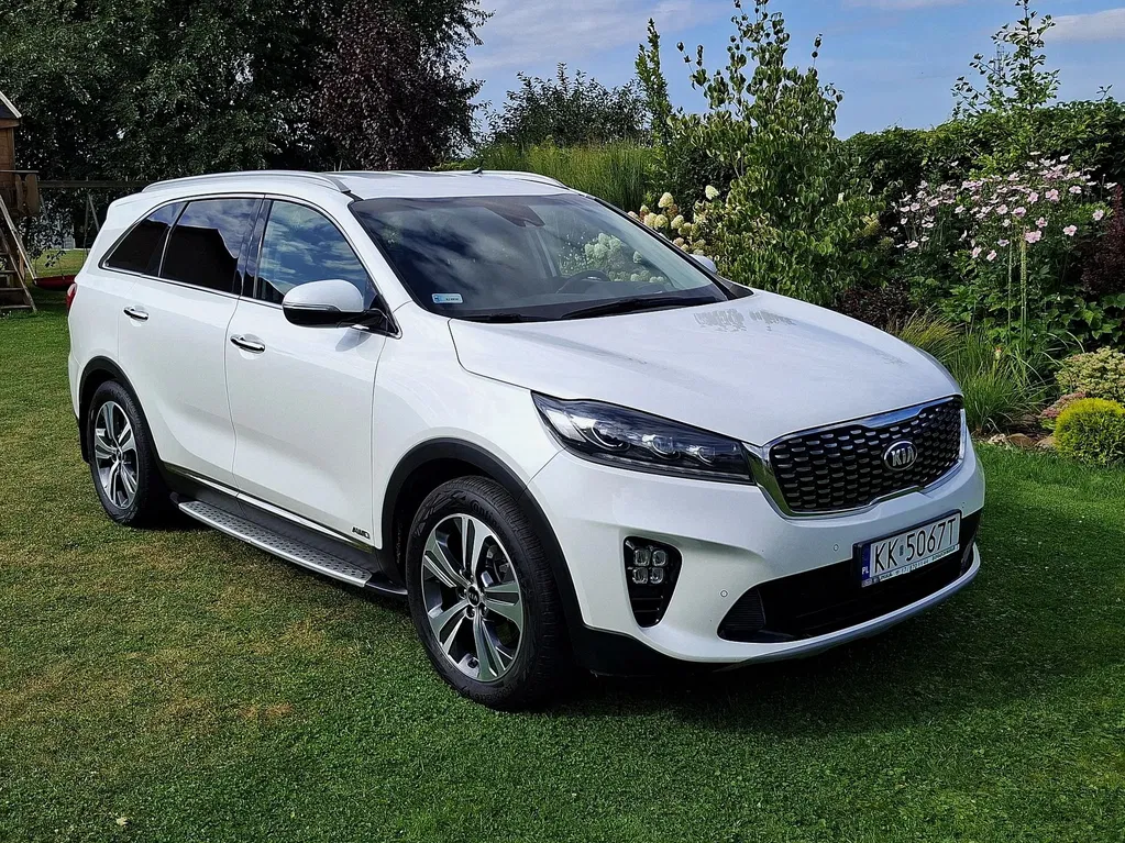 Zdjęcie: 2019 Kia Sorento