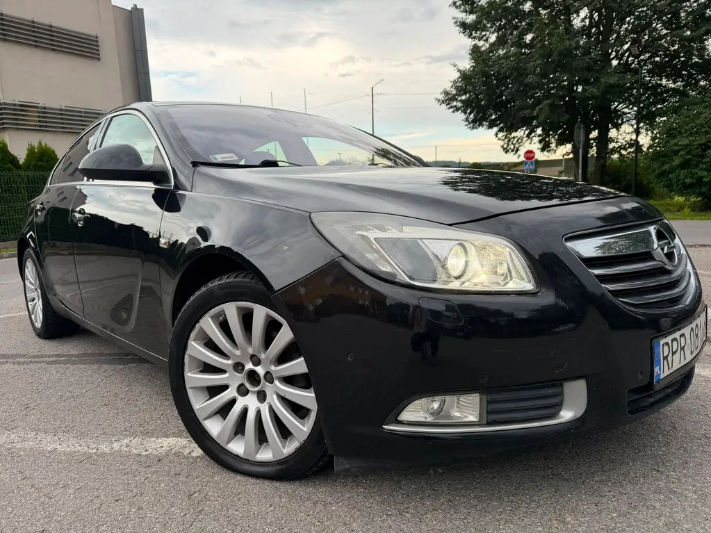 Zdjęcie: 2010 Opel Insignia