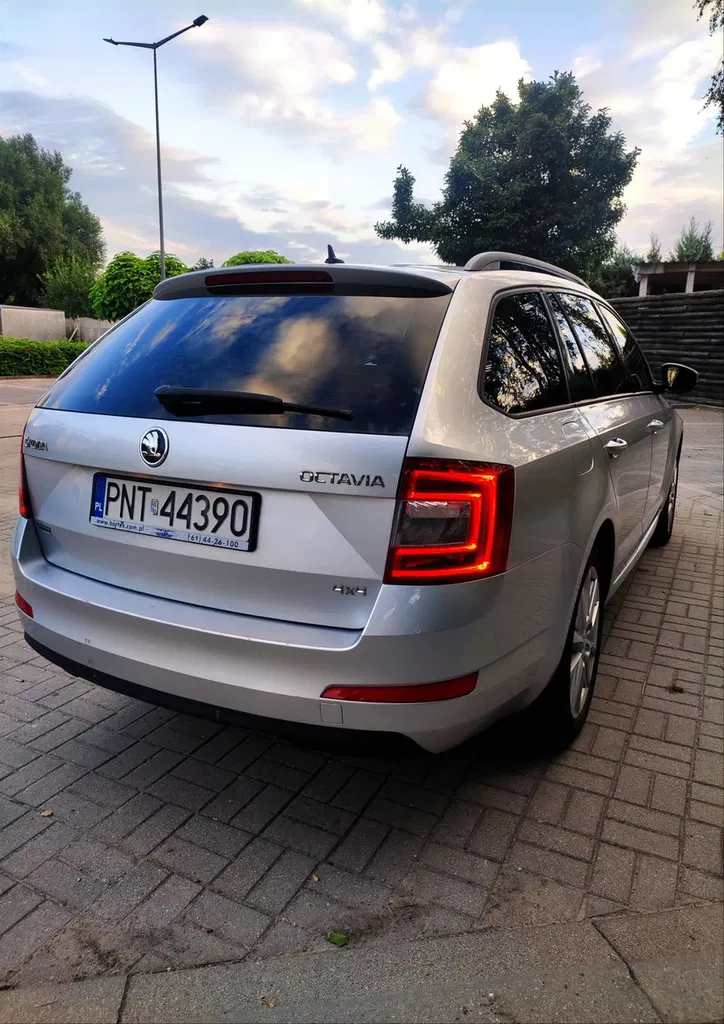 Zdjęcie: 2016 Skoda Octavia