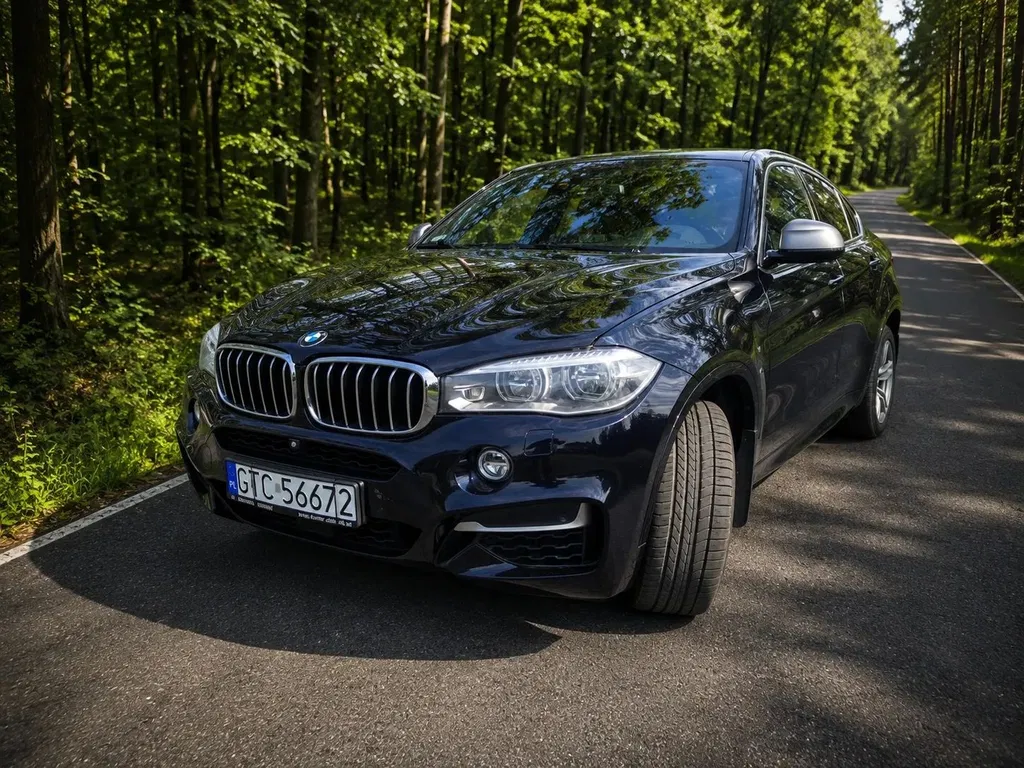 Zdjęcie: 2016 BMW X6 M