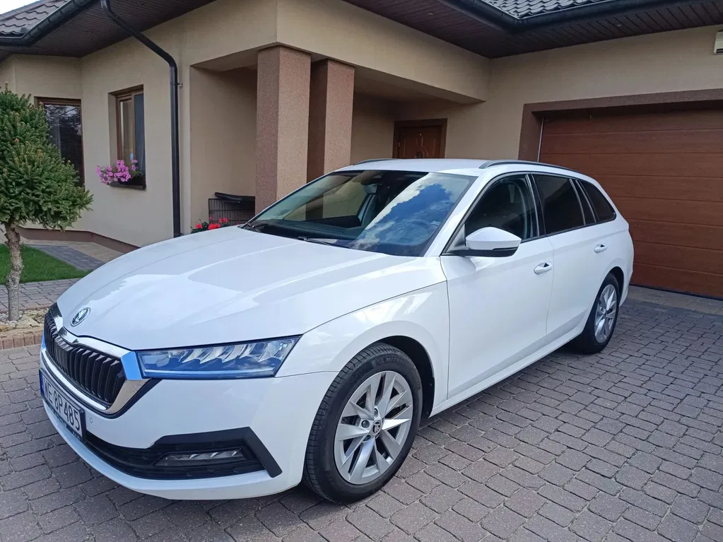 Zdjęcie: 2023 Skoda Octavia