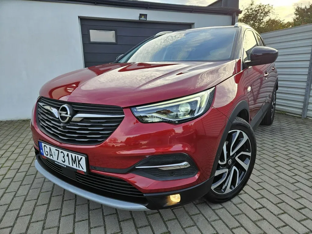 Zdjęcie: 2019 Opel Grandland X