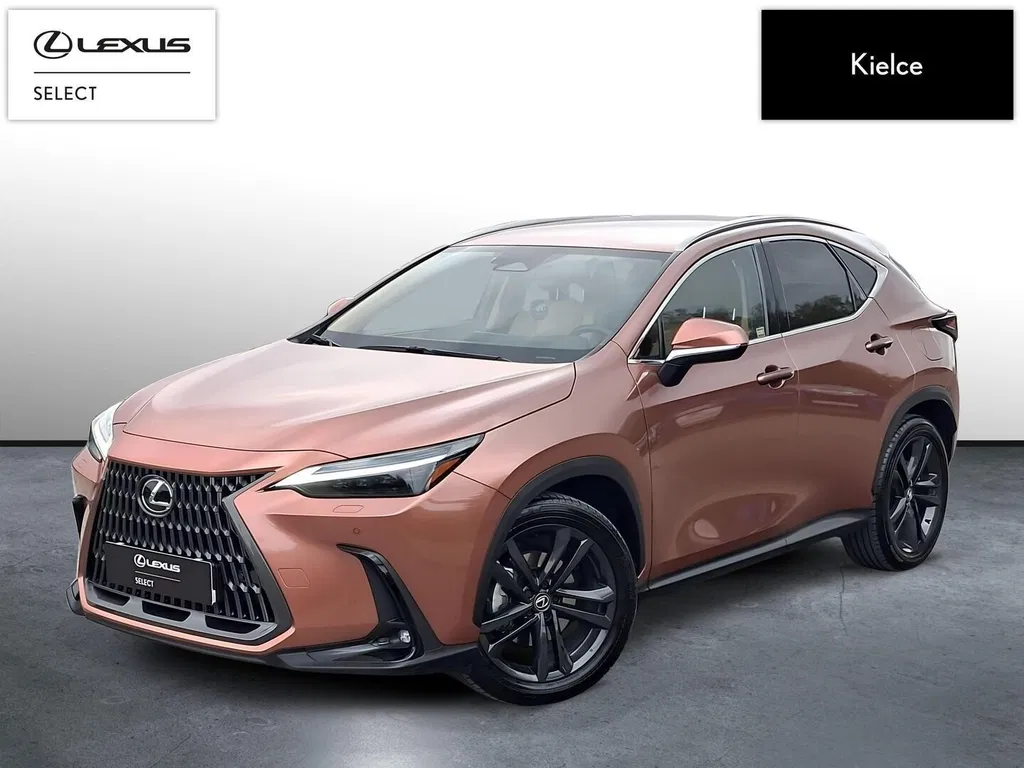 Zdjęcie: 2024 Lexus NX