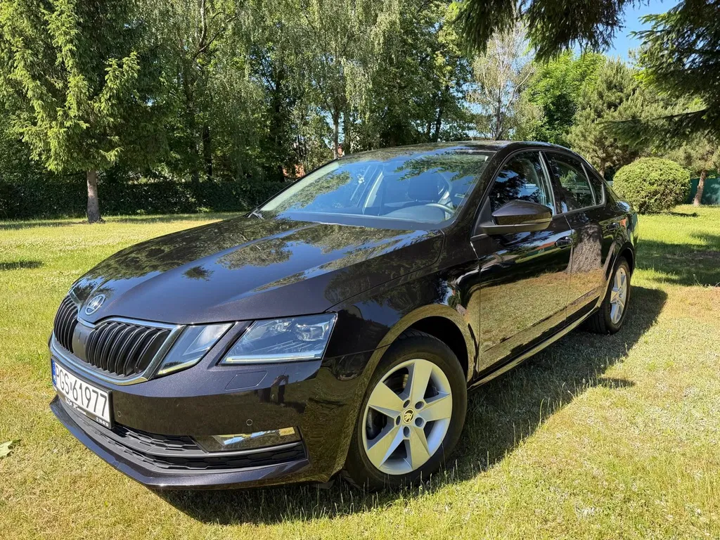 Zdjęcie: 2019 Skoda Octavia