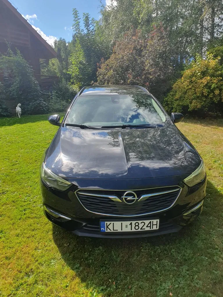 Zdjęcie: 2019 Opel Insignia