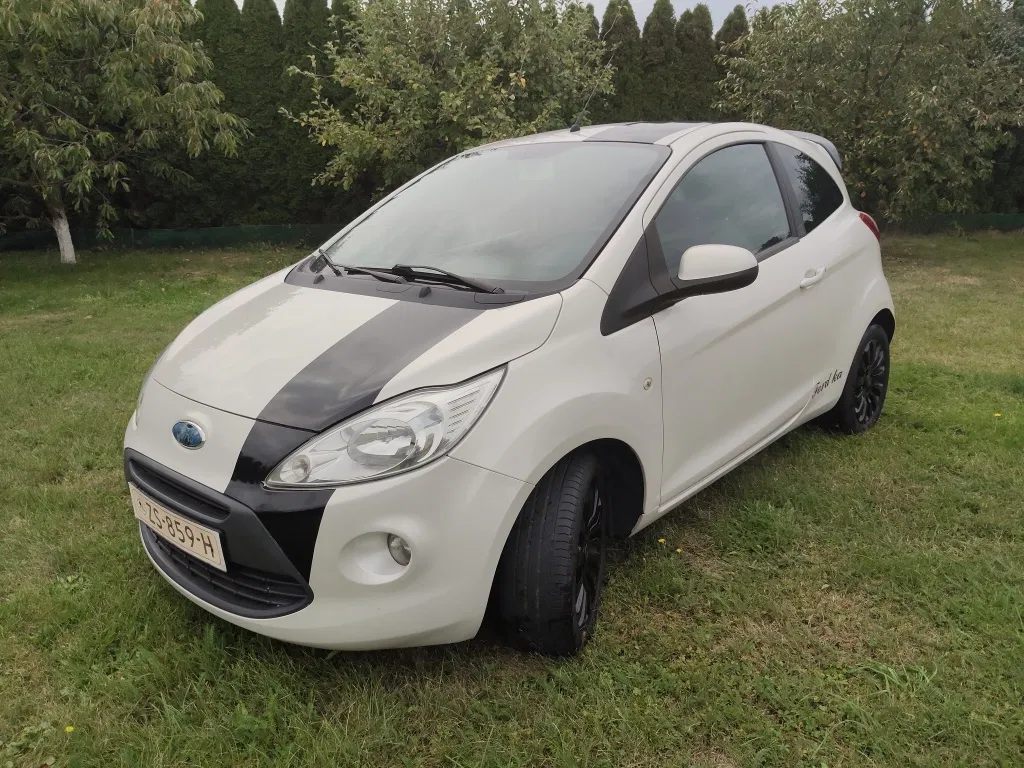 Zdjęcie: 2009 Ford KA