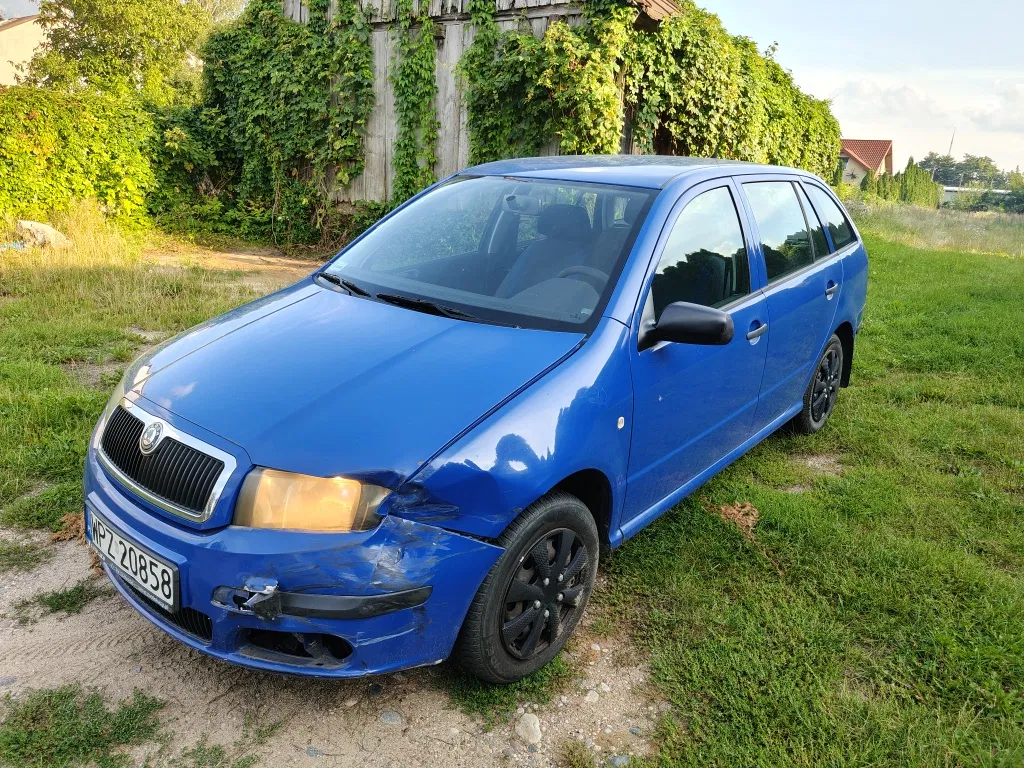 Zdjęcie: 2007 Skoda Fabia