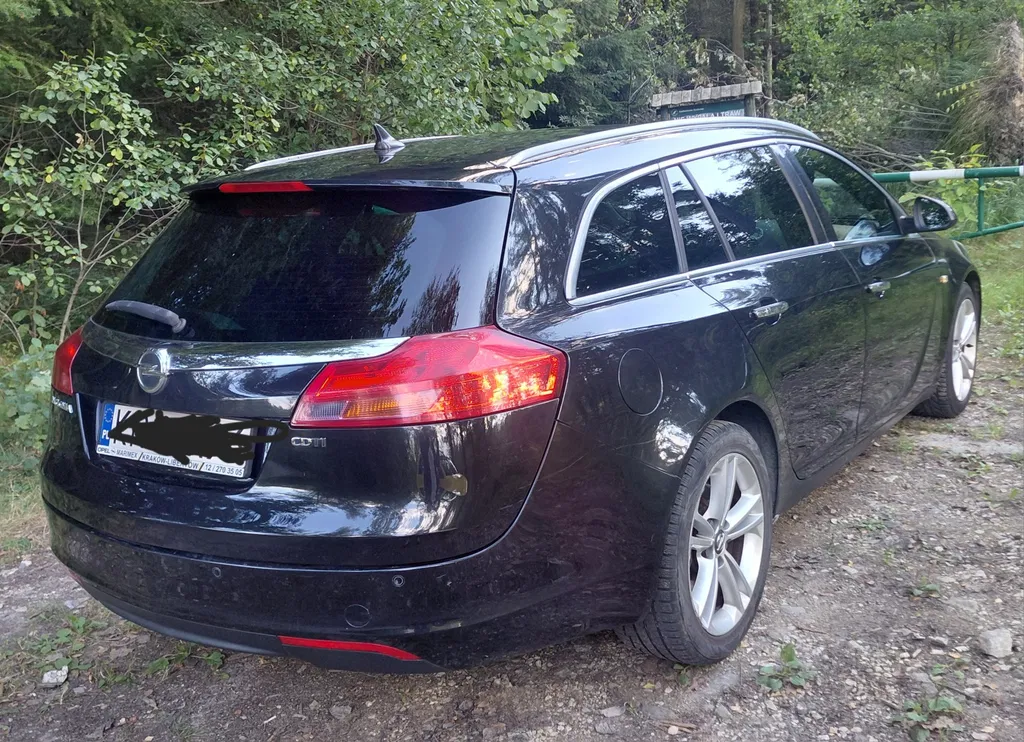 Zdjęcie: 2011 Opel Insignia