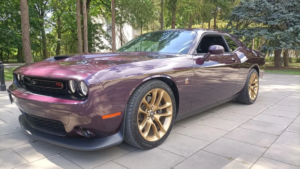 Zdjęcie: 2022 Dodge Challenger