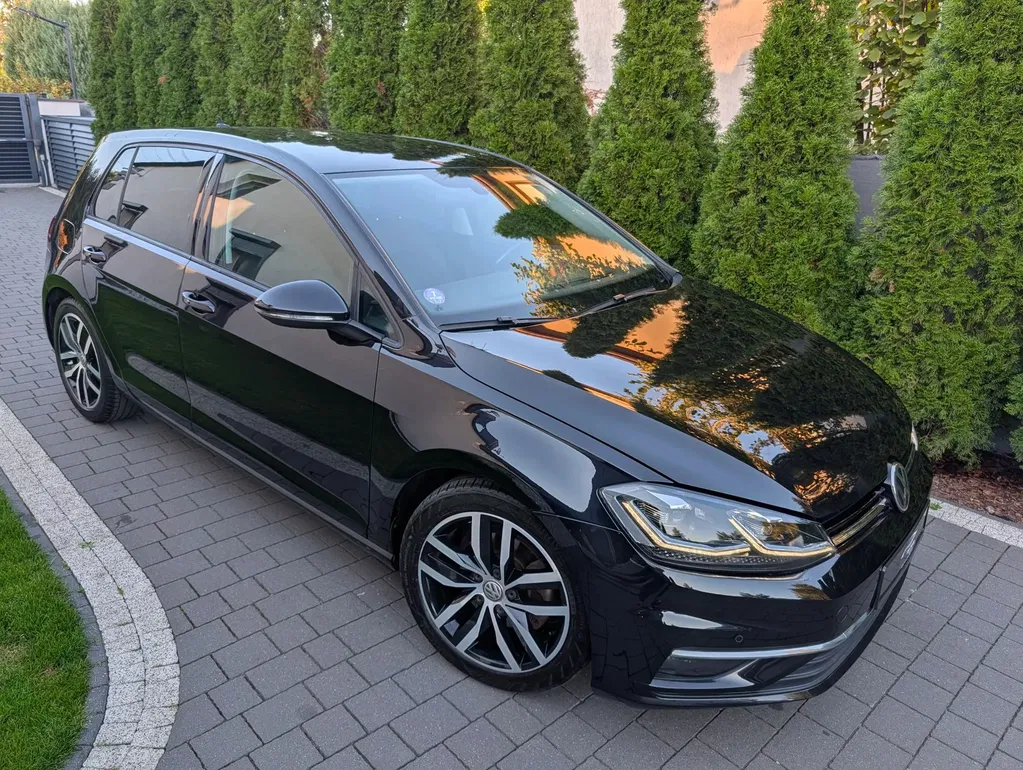 Zdjęcie: 2019 Volkswagen Golf