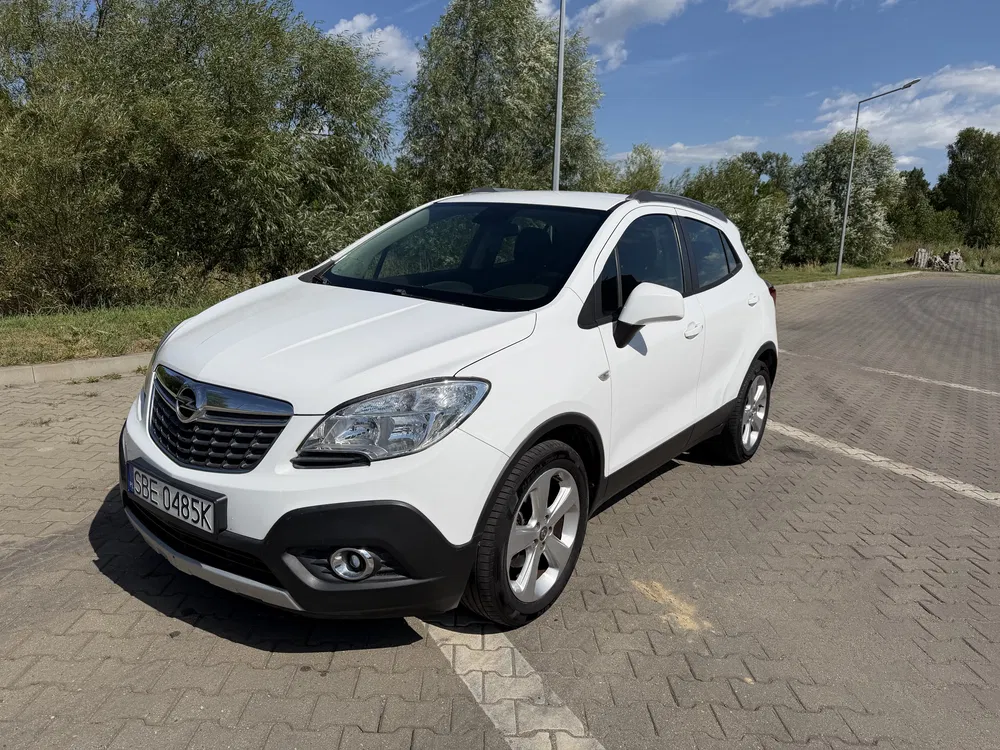 Zdjęcie: 2014 Opel Mokka