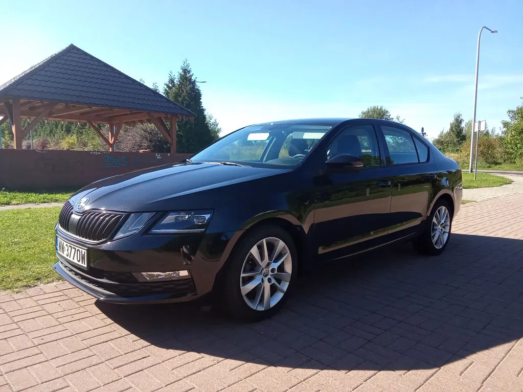 Zdjęcie: 2019 Skoda Octavia