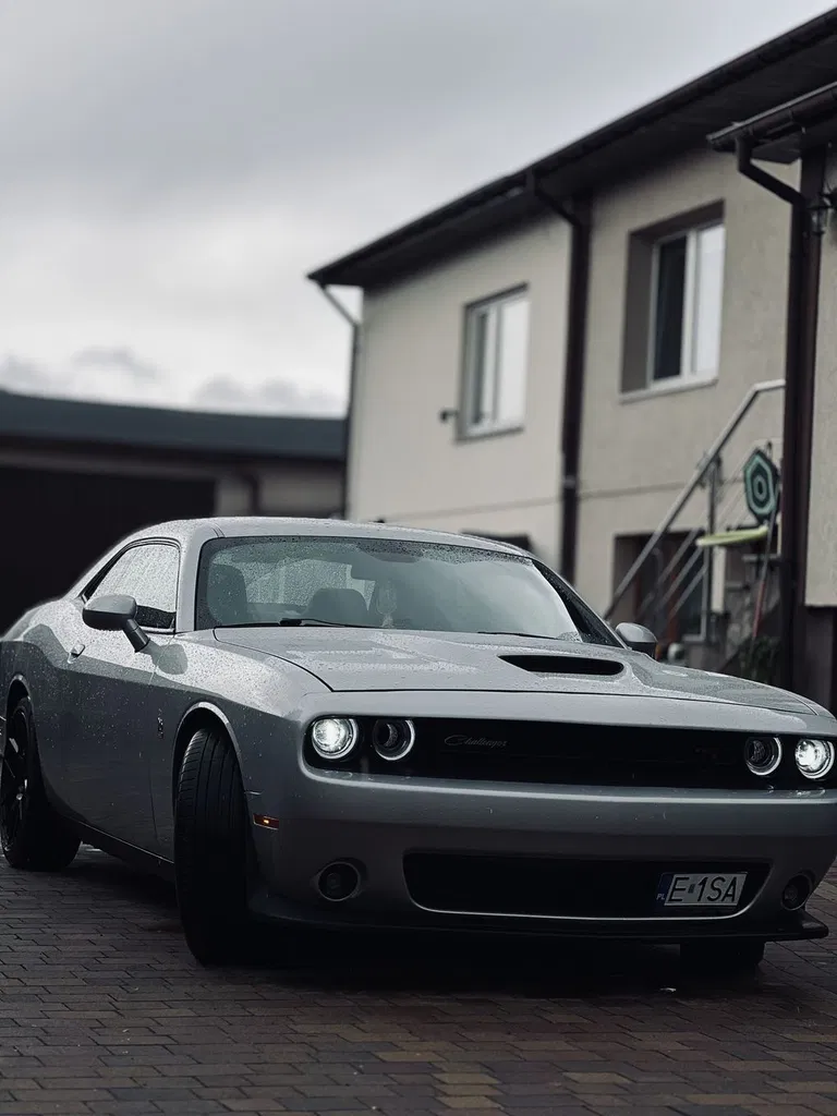 Zdjęcie: 2019 Dodge Challenger