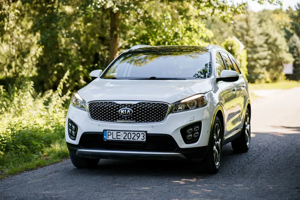 Zdjęcie: 2017 Kia Sorento