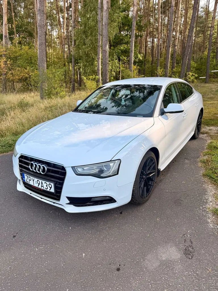 Zdjęcie: 2012 Audi A5 Sportback