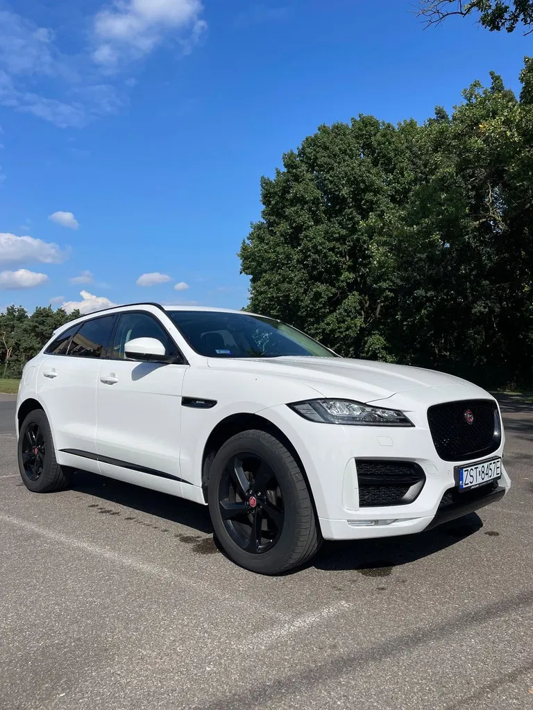 Zdjęcie: 2019 Jaguar F-Pace