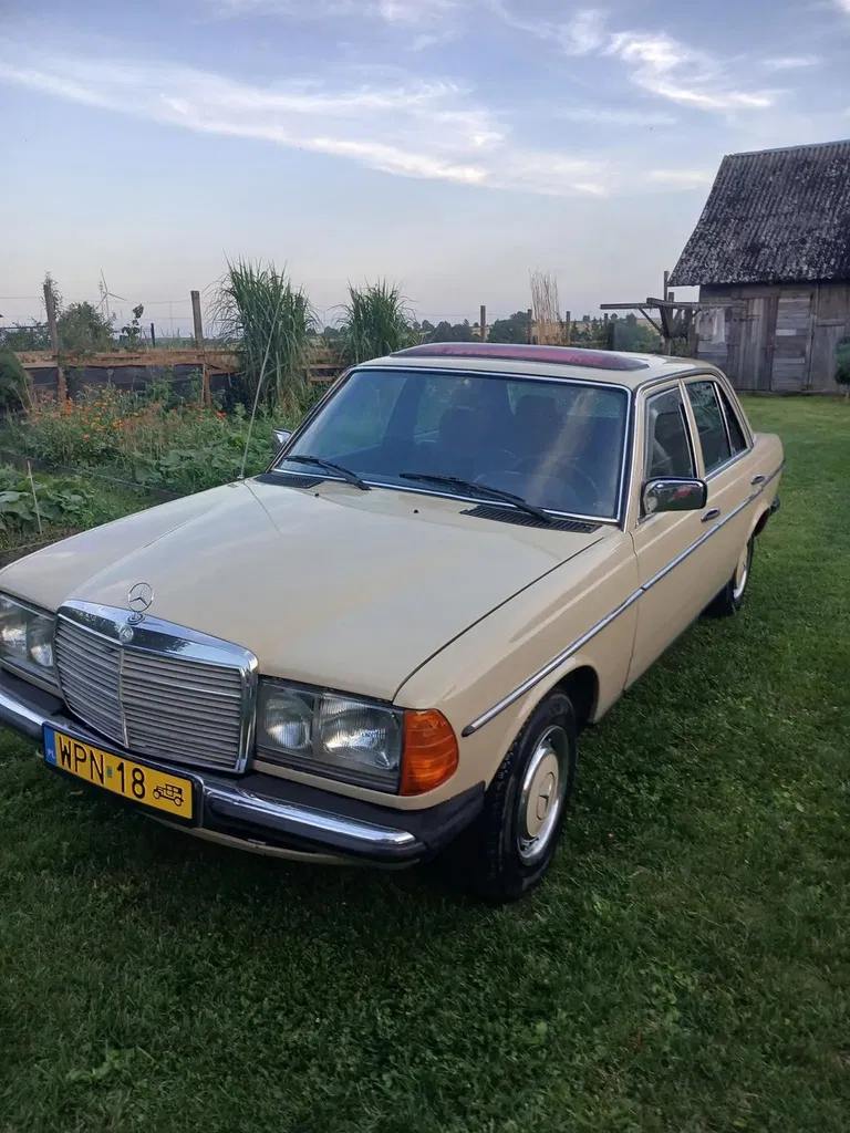 Zdjęcie: 1982 Mercedes-Benz W123