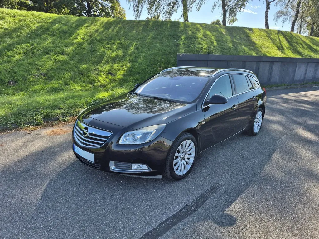 Zdjęcie: 2009 Opel Insignia