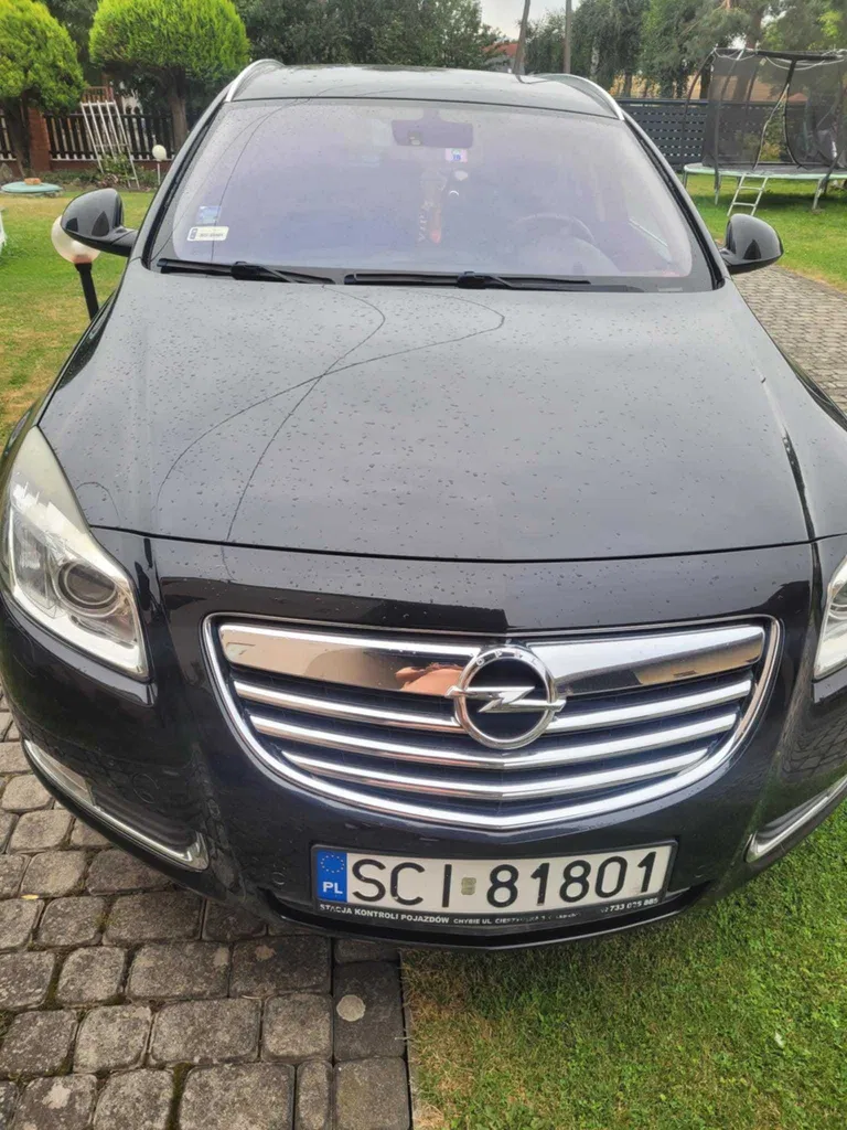 Zdjęcie: 2010 Opel Insignia