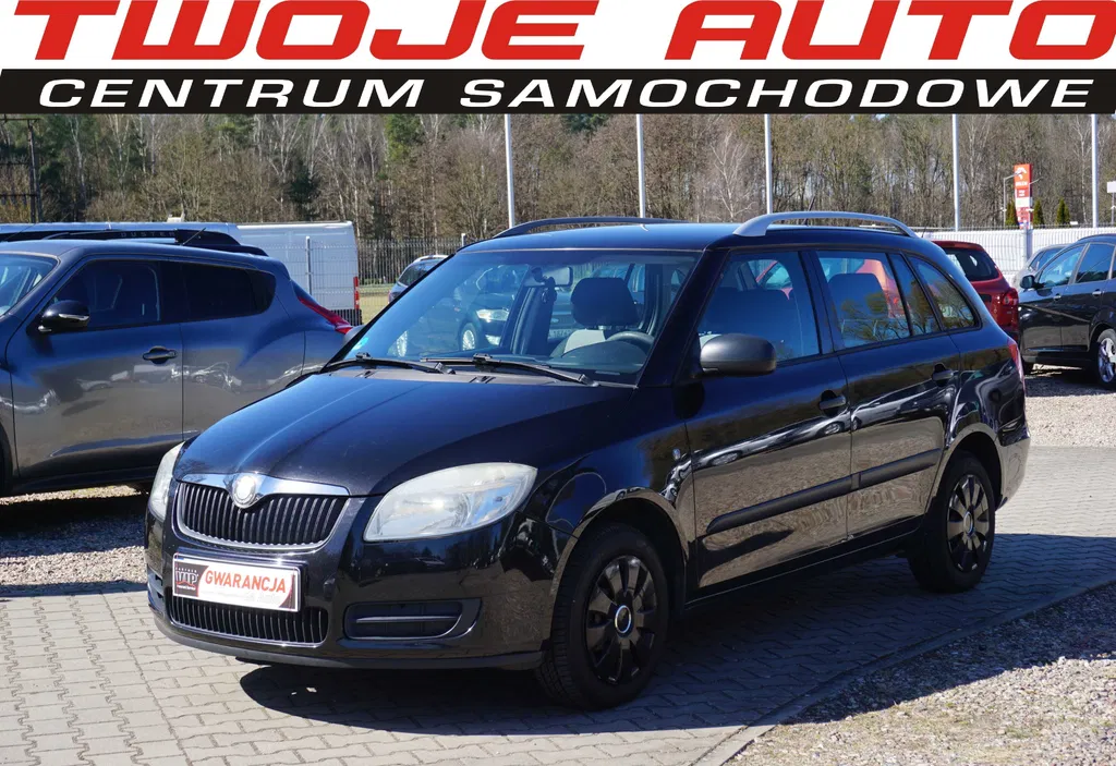Zdjęcie: 2010 Skoda Fabia