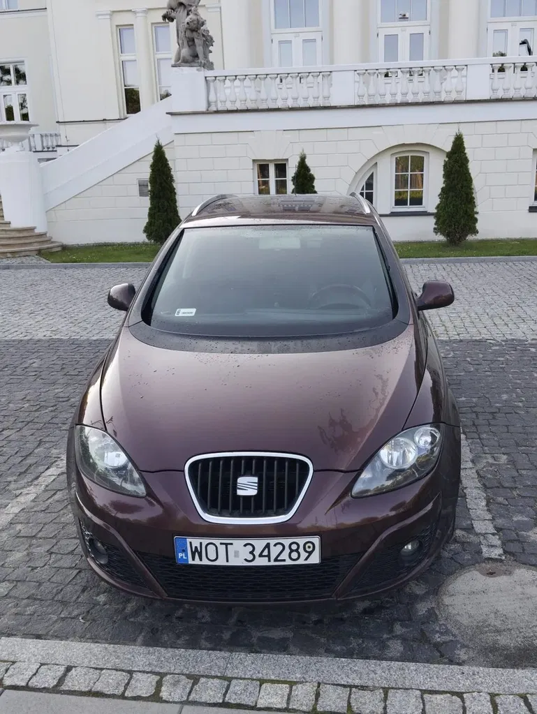 Zdjęcie: 2010 Seat Altea