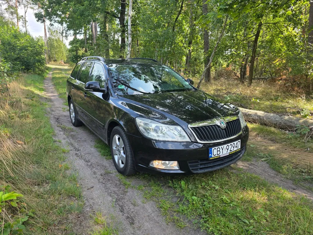 Zdjęcie: 2010 Skoda Octavia