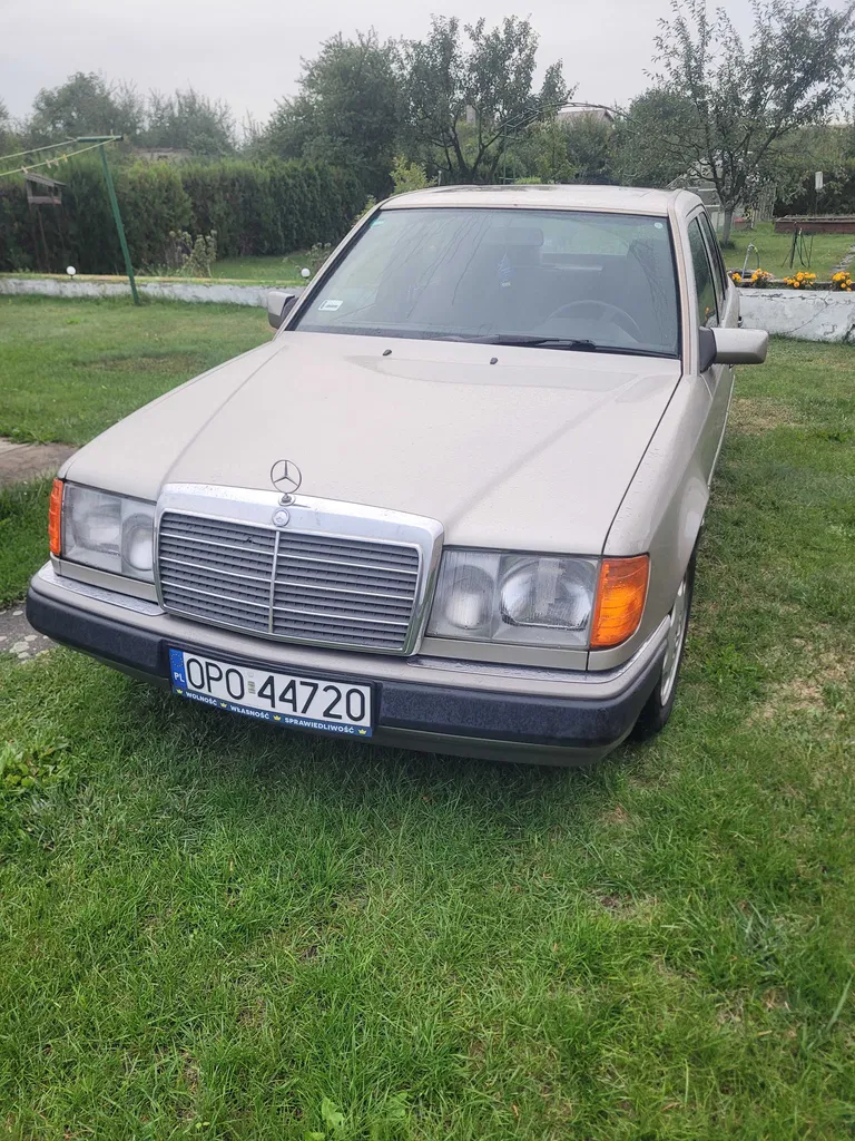 Zdjęcie: 1991 Mercedes-Benz W124