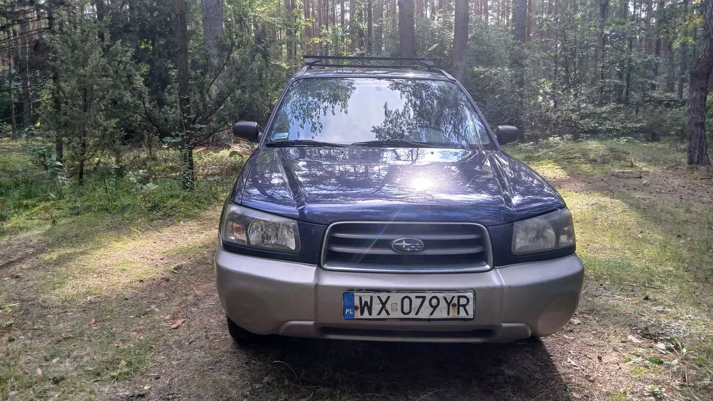 Zdjęcie: 2004 Subaru Forester