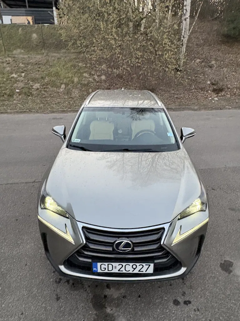 Zdjęcie: 2017 Lexus NX