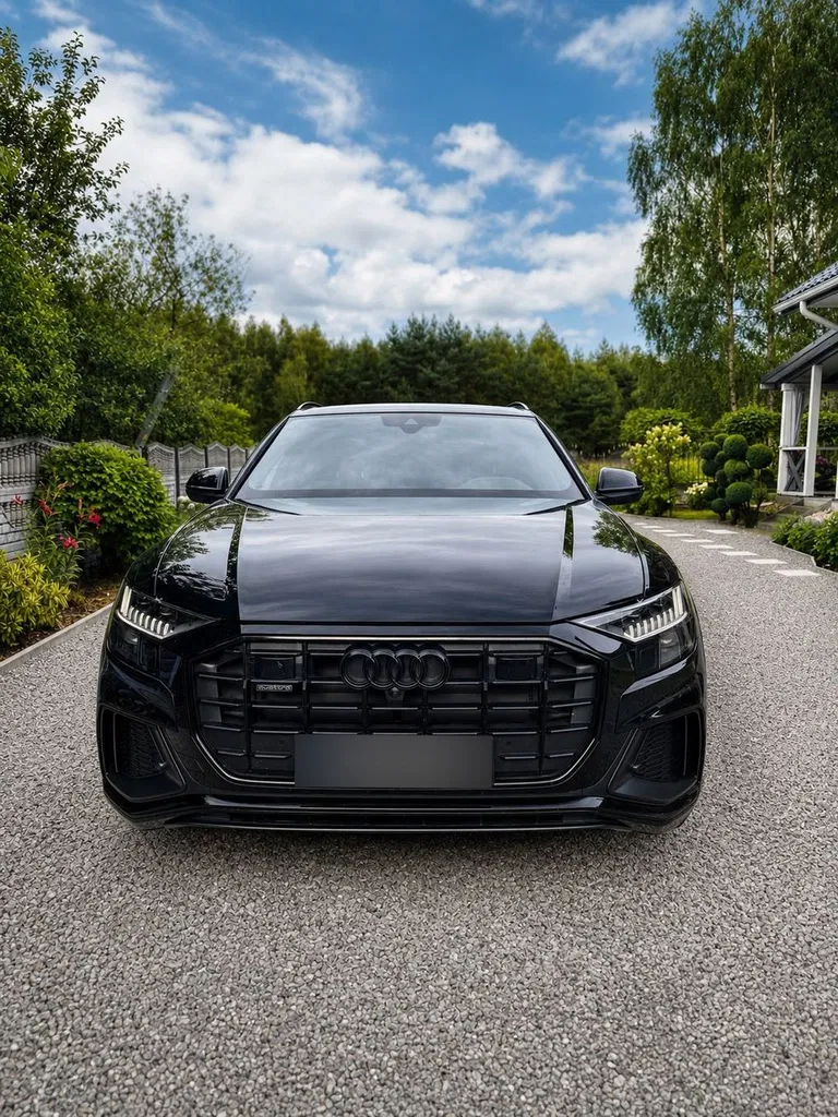 Zdjęcie: 2021 Audi Q8