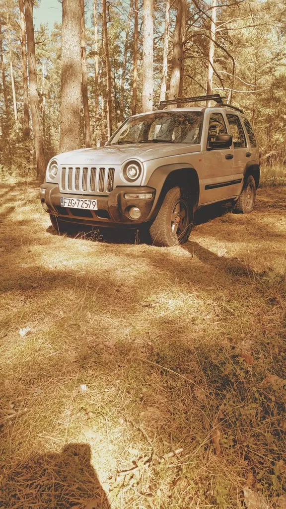 Zdjęcie: 2001 Jeep Cherokee