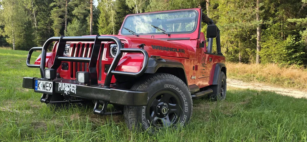 Zdjęcie: 1995 Jeep Wrangler