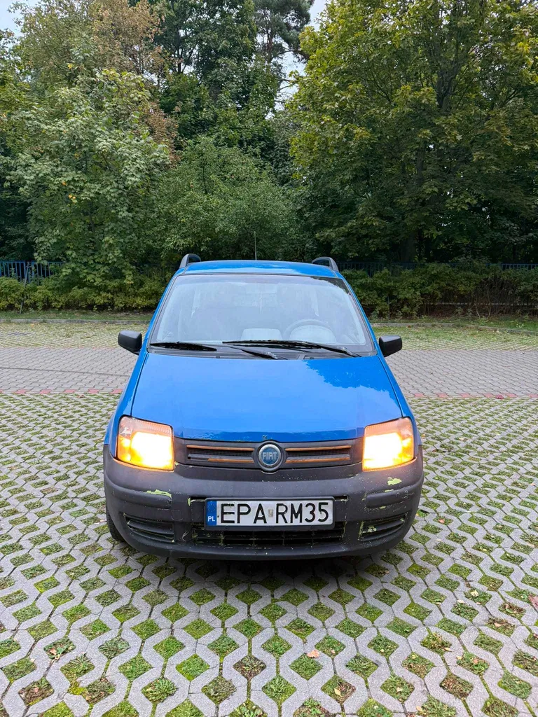 Zdjęcie: 2004 Fiat Panda