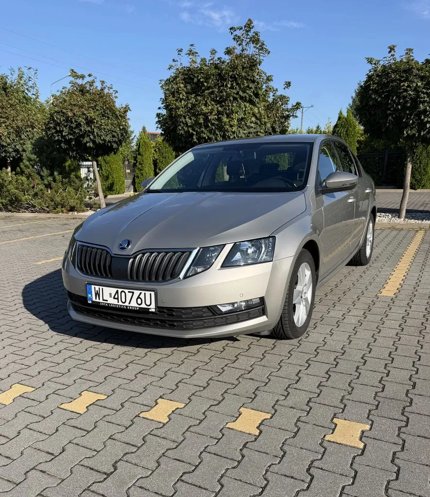 Zdjęcie: 2019 Skoda Octavia