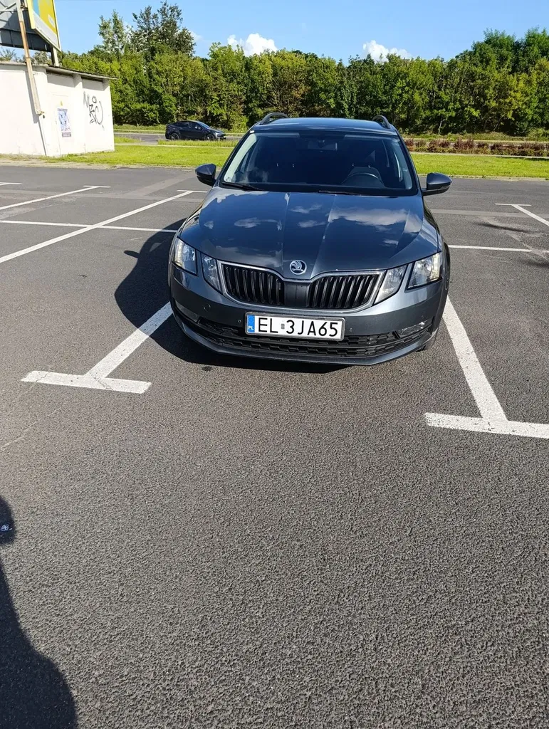 Zdjęcie: 2019 Skoda Octavia