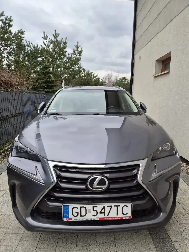 Zdjęcie: 2016 Lexus NX