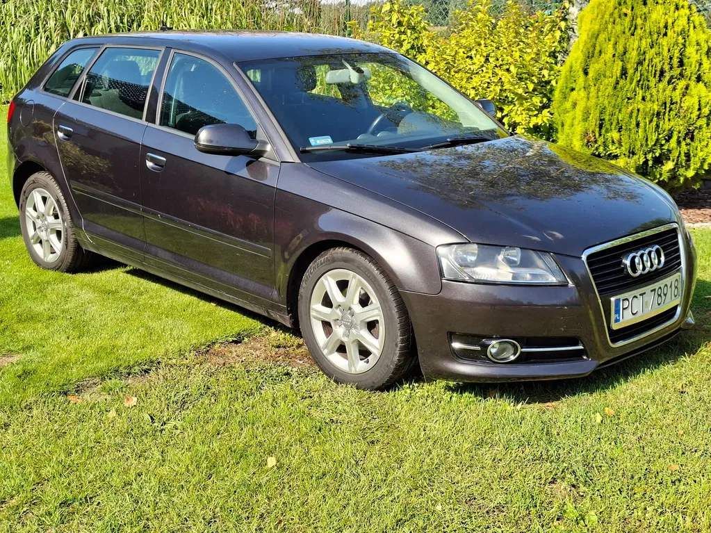 Zdjęcie: 2011 Audi A3 Sportback