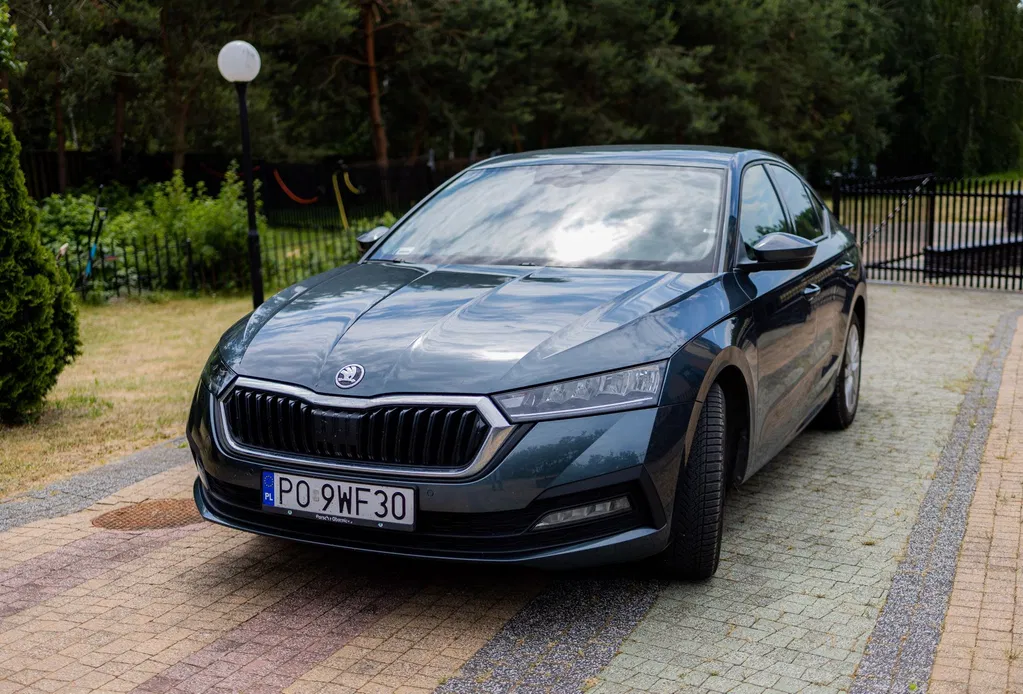 Zdjęcie: 2021 Skoda Octavia