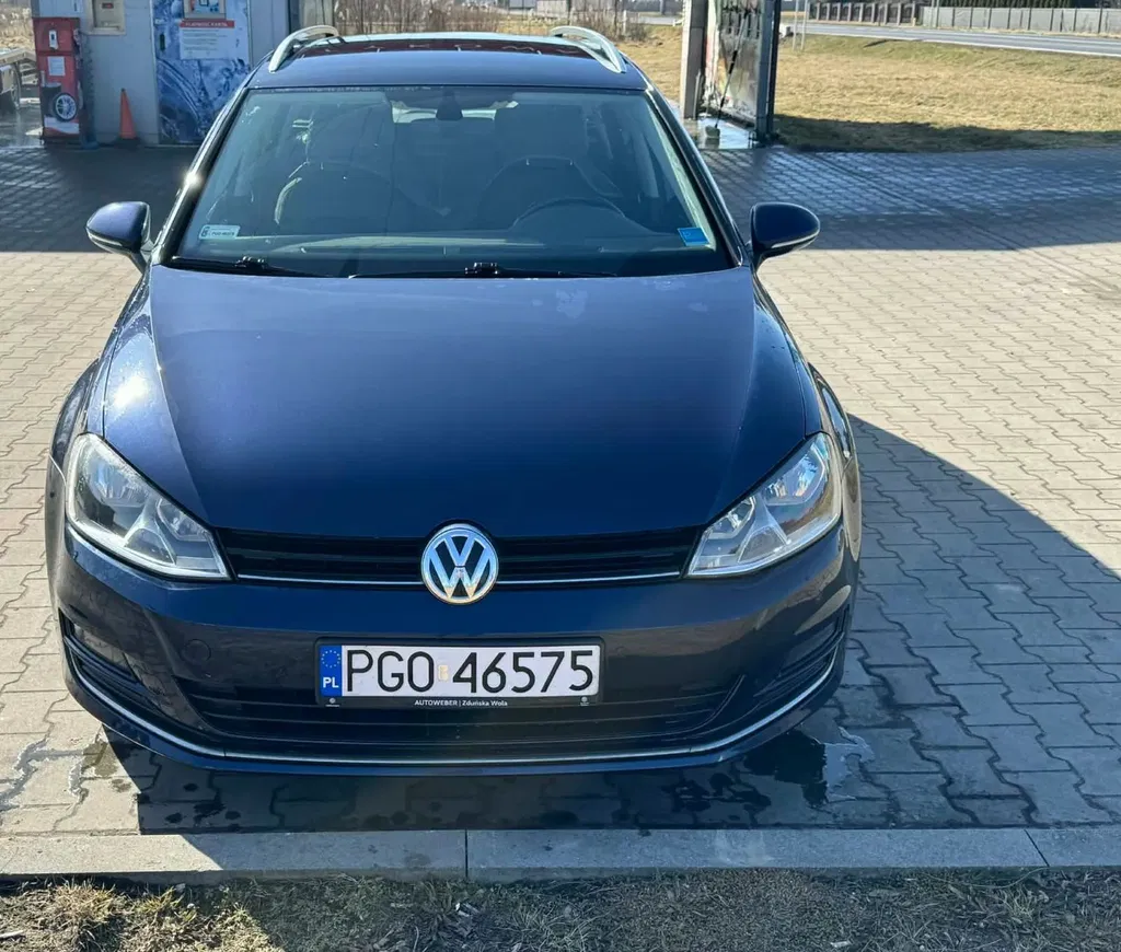 Zdjęcie: 2016 Volkswagen Golf