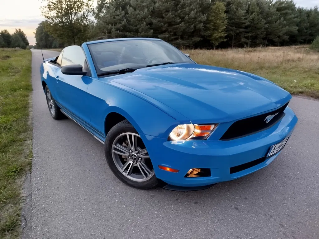 Zdjęcie: 2010 Ford Mustang