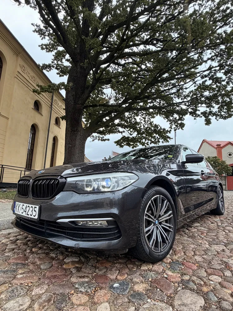 Zdjęcie: 2019 BMW Seria 5
