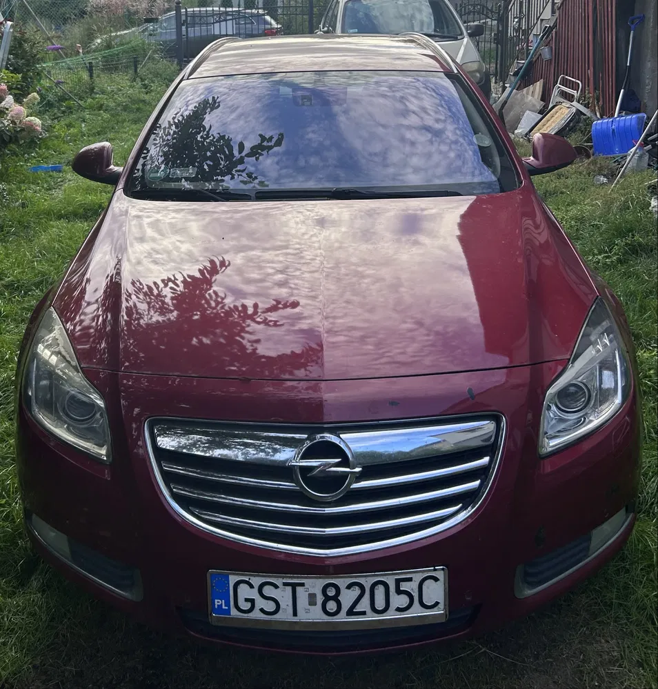 Zdjęcie: 2009 Opel Insignia